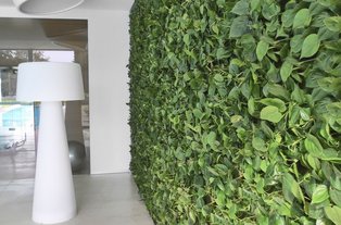 Grüne Wand im Innenraum Vertikale Innenbegrünung: Grüne Wand im Büro