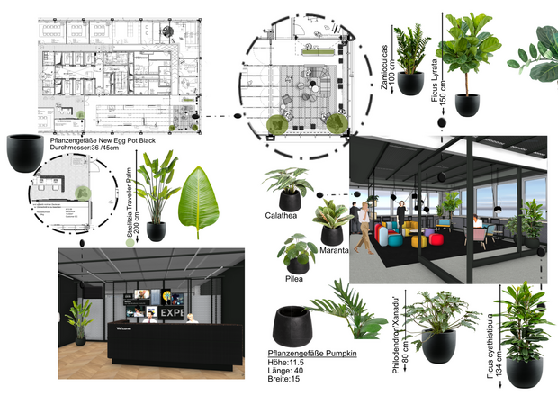 Innenarchitektur: geplante Raumbegrünung