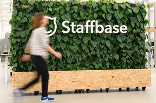 Grüne Raumteiler gestalten offene Bürolandschaften