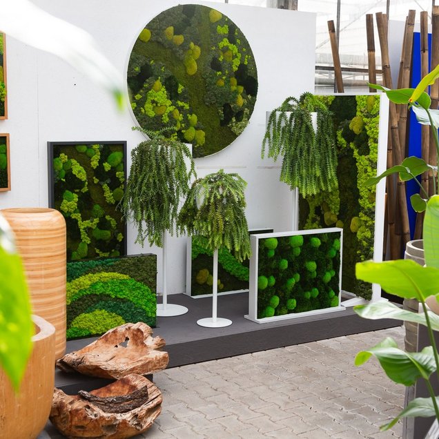 Ruof Ausstellung / Showroom Esslingen - Dekorative Begrünungen mit Moos