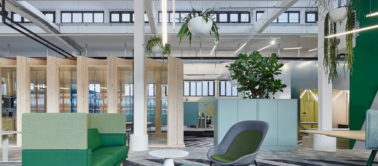 Moderne Arbeitswelt: Büropflanzen und pflanzliche Raumteiler gestalten individuelle Arbeitszonen