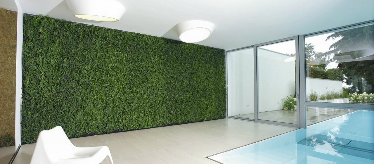 Grüne Wand im Innenraum: Schwimmbad Vertikale Innenbegrünung: Grüne Wand im Schwimmbad