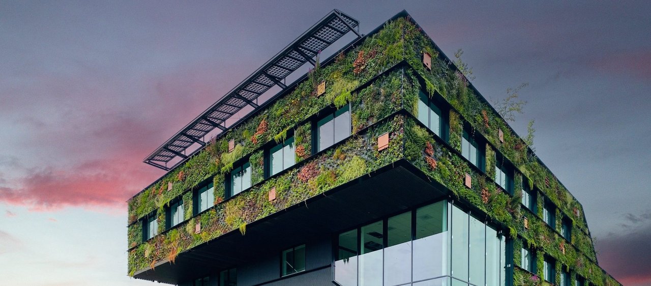 Vertikale Außenbegrünung an einer Hausfassade