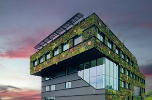 Gebäude: Hausfassade mit vertikale Außenbegrünung Vertikale Außenbegrünung an einer Hausfassade