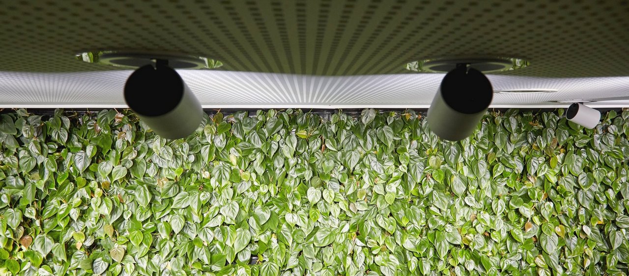LED Pflanzenlicht LED Pflanzenlicht: Lichtlösungen für gesunde Pflanzen